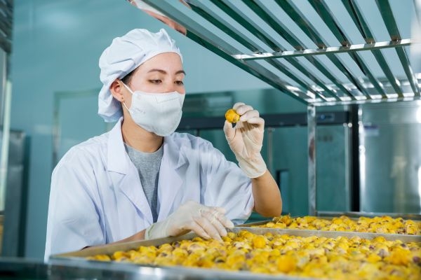 Các bước ngâm rượu trà hoa vàng