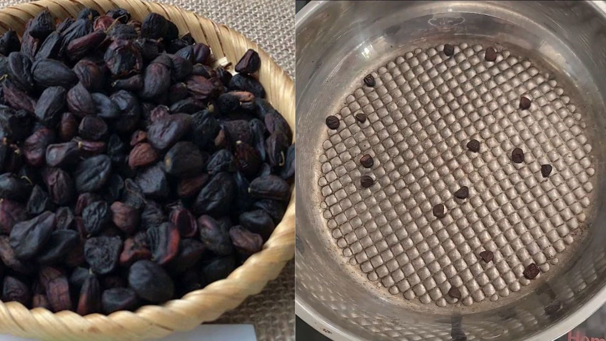 Cách chế biến và sử dụng hạt dổi