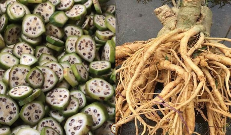 Đinh lăng và chuối hột