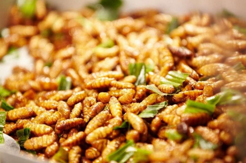 Nhộng ong rừng - Đặc trưng của ẩm thực Tây Bắc