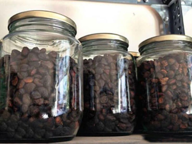 Quy trình ngâm rượu hạt dổi đúng cách