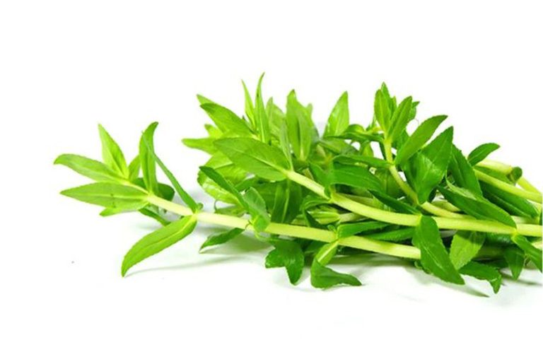 Rau ngổ