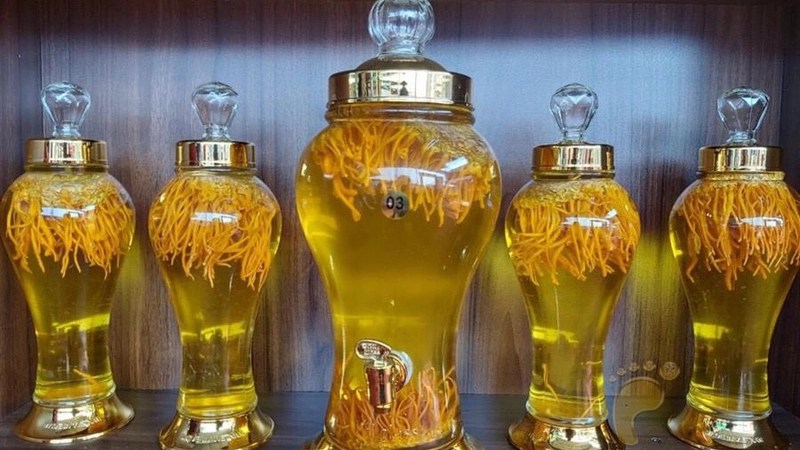 Rượu ngâm đông trùng hạ thảo