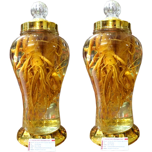 Rượu ngâm nhân sâm