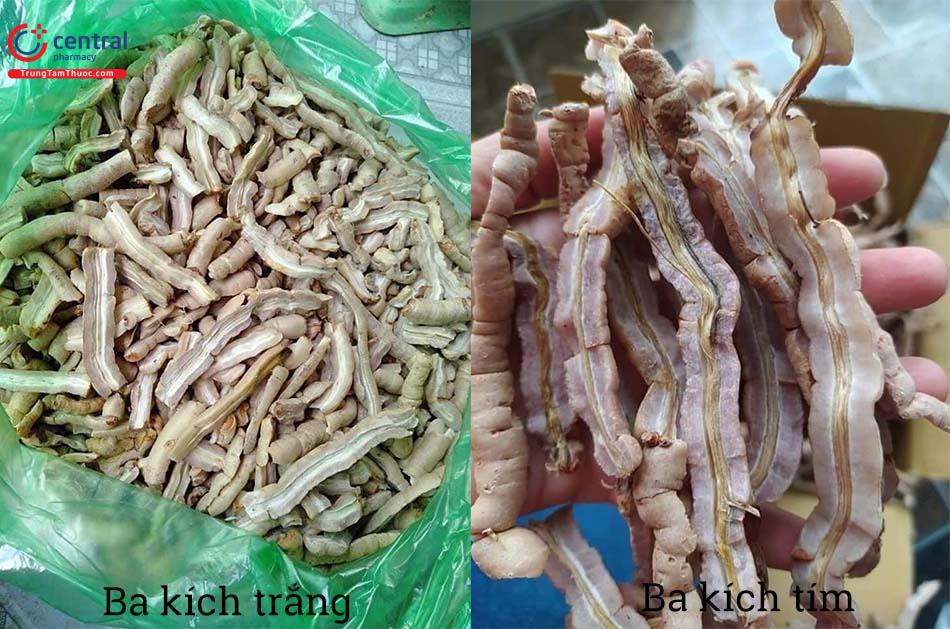 Cách làm củ ba kích ngâm rượu
