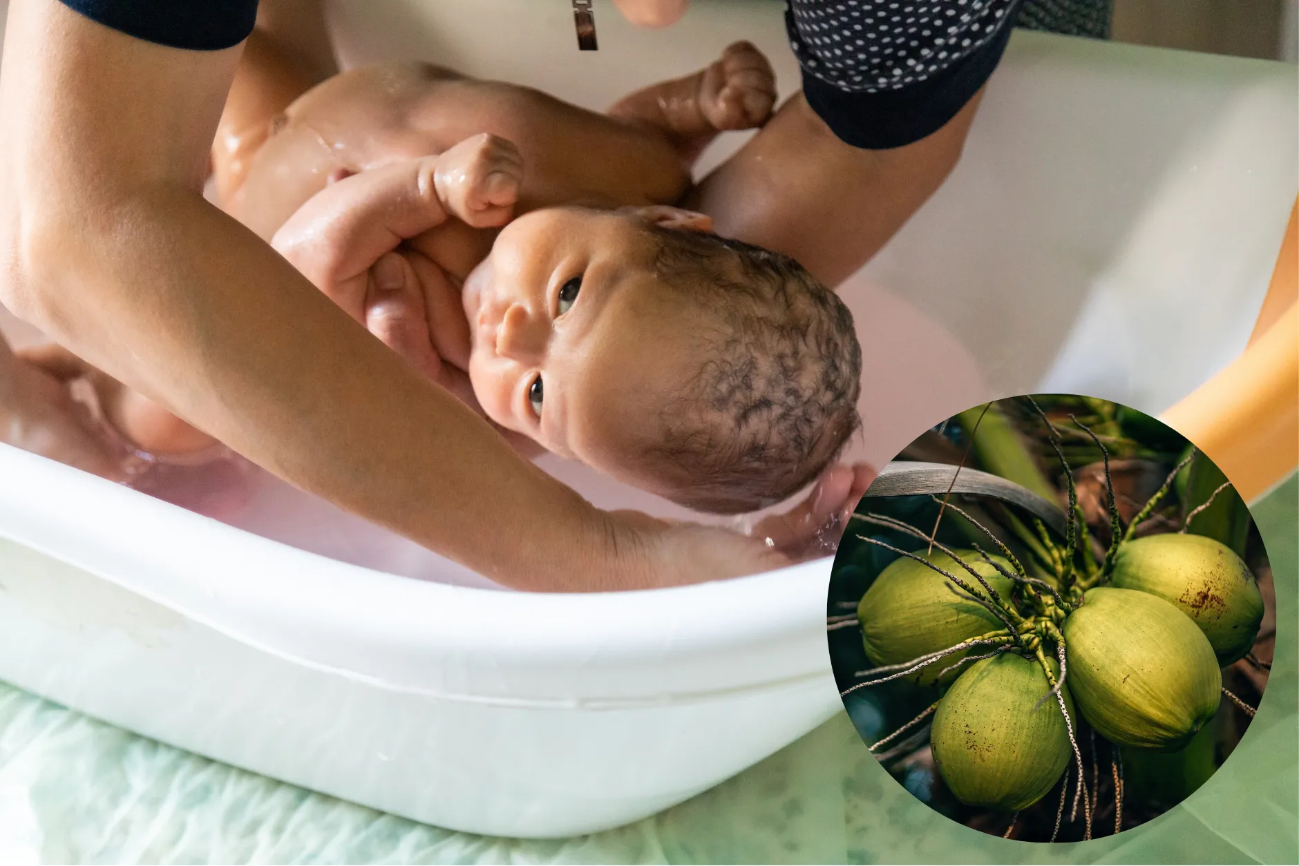 Cách tắm nước dừa cho bé an toàn và hiệu quả
