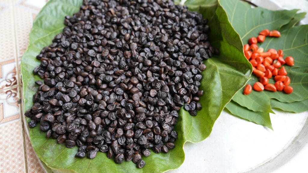 Nướng hạt dổi