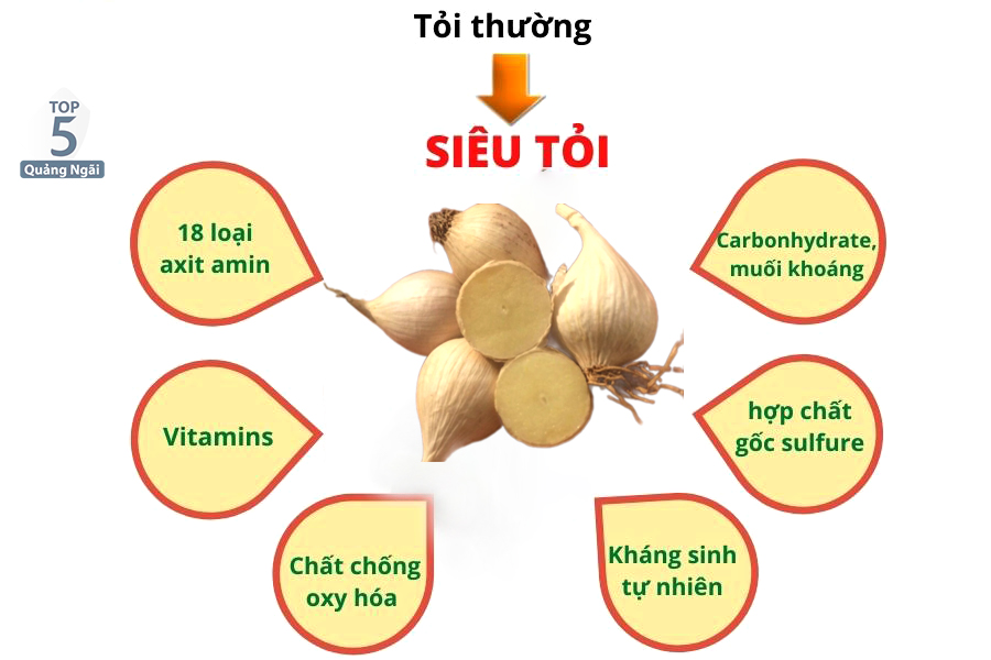 Tỏi cô đơn có thành phần hóa học như thế nào?